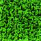 zelena - trava